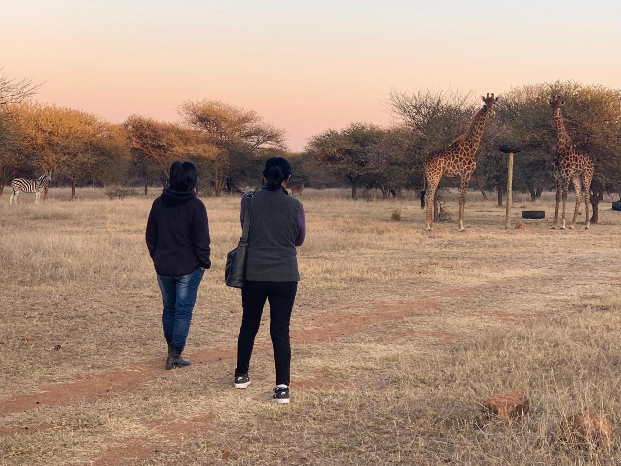 Tula Baba Game Lodge Brits Exterior foto