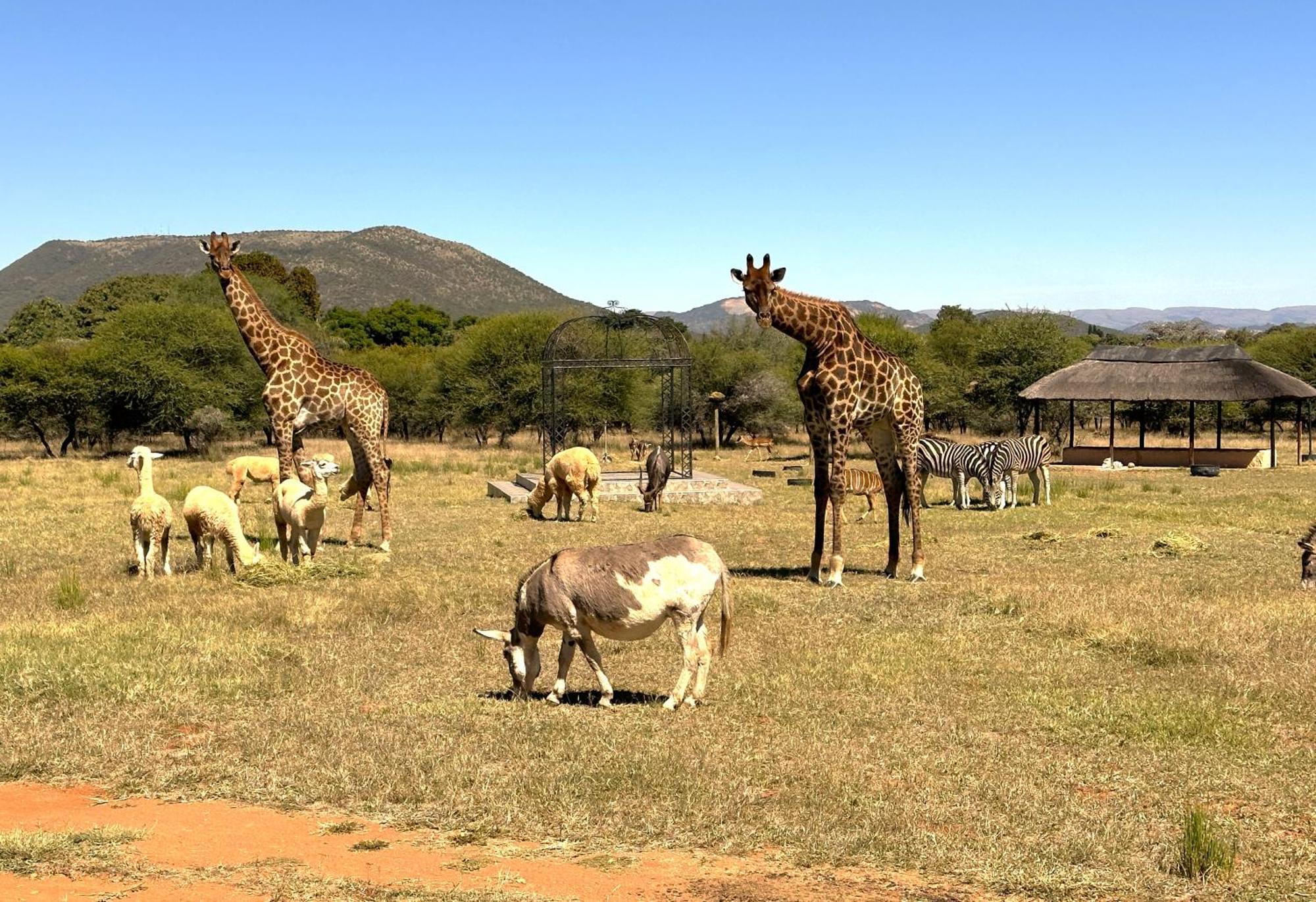 Tula Baba Game Lodge Brits Exterior foto
