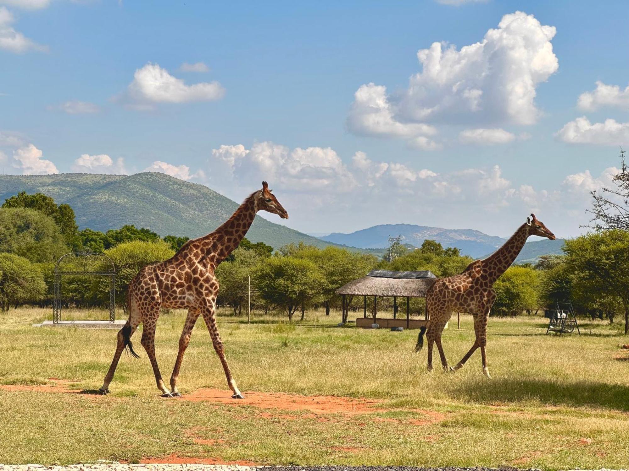 Tula Baba Game Lodge Brits Exterior foto