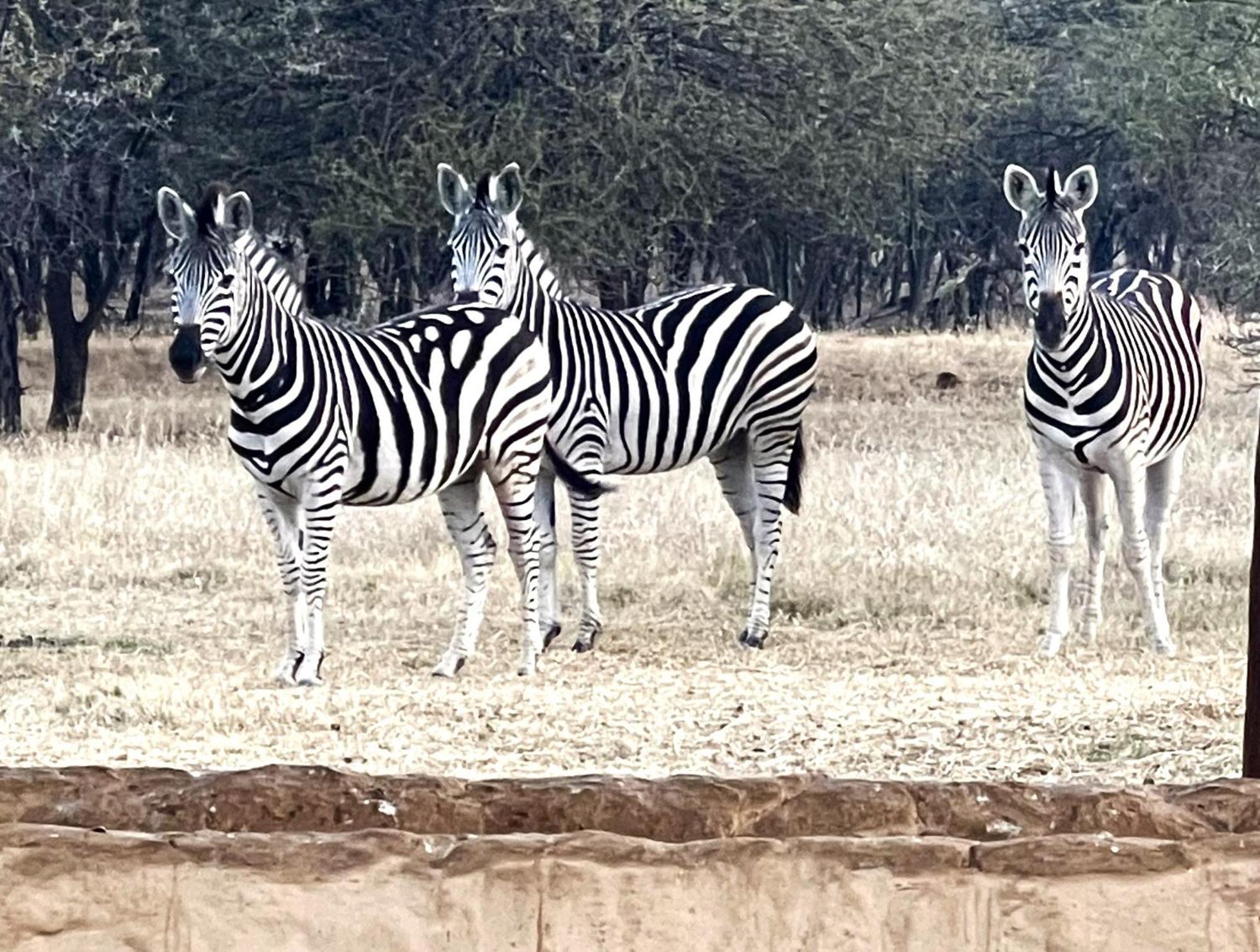 Tula Baba Game Lodge Brits Exterior foto
